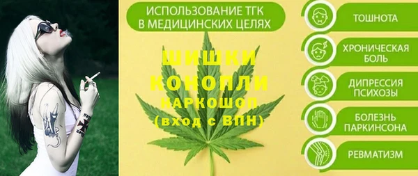 соль ск Горнозаводск