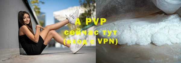 соль ск Горнозаводск