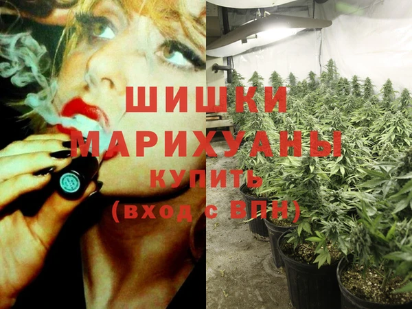 соль ск Горнозаводск