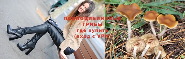 мет Горняк