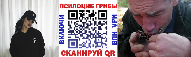 Галлюциногенные грибы MAGIC MUSHROOMS  Купить где  Котово 